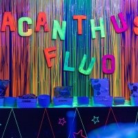 Fluo 2024 - Photos - Acanthus