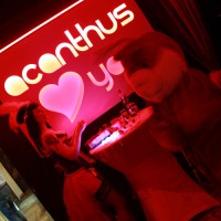 Valentine 2016 - Photos - Acanthus